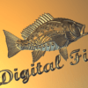 Digital Fish for 3D model STL files for cnc router