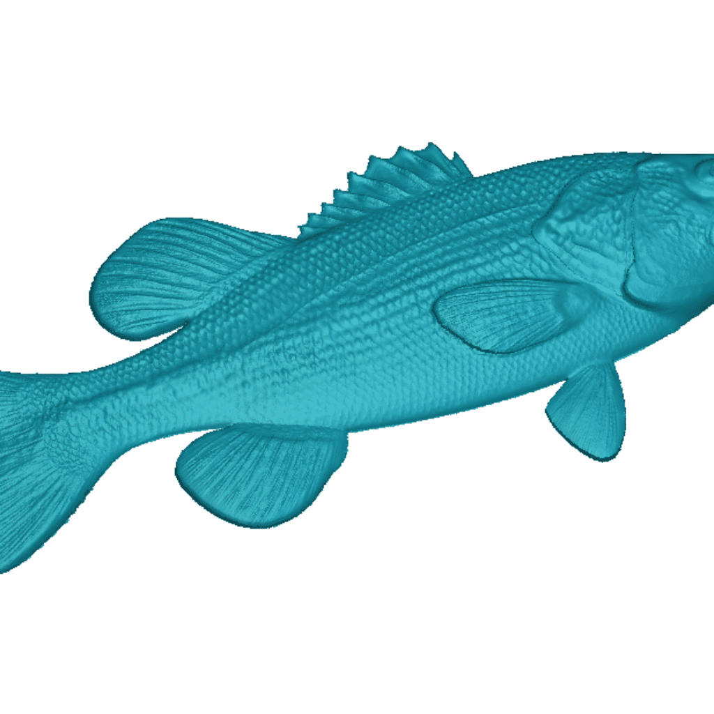 Fish 3d Model Stl File For Cnc Router Wood Working Free Download