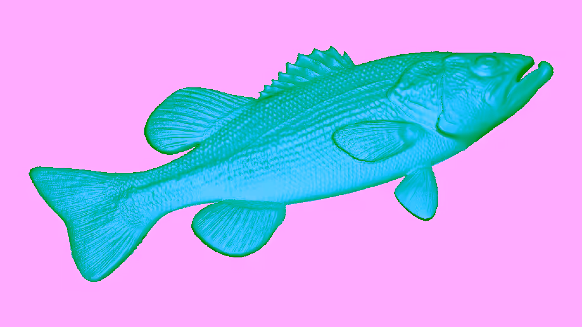 Fish 3d Model Stl File For Cnc Router Wood Working Free Download