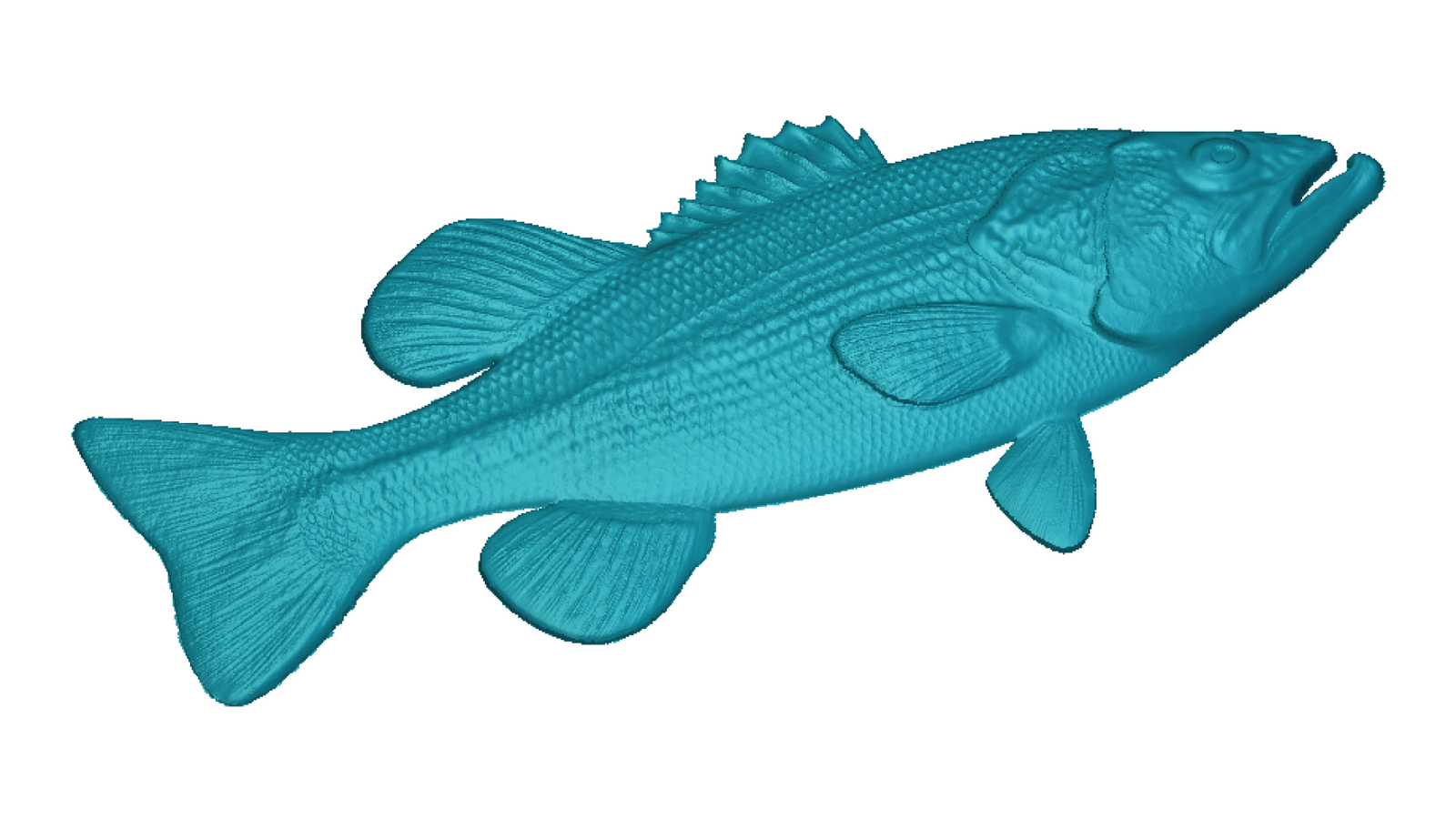 Fish 3d Model Stl File For Cnc Router Wood Working Free Download