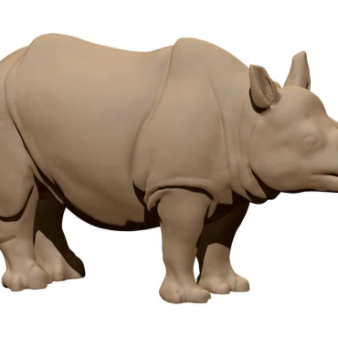 Rhino 3d Model Obj File A000465