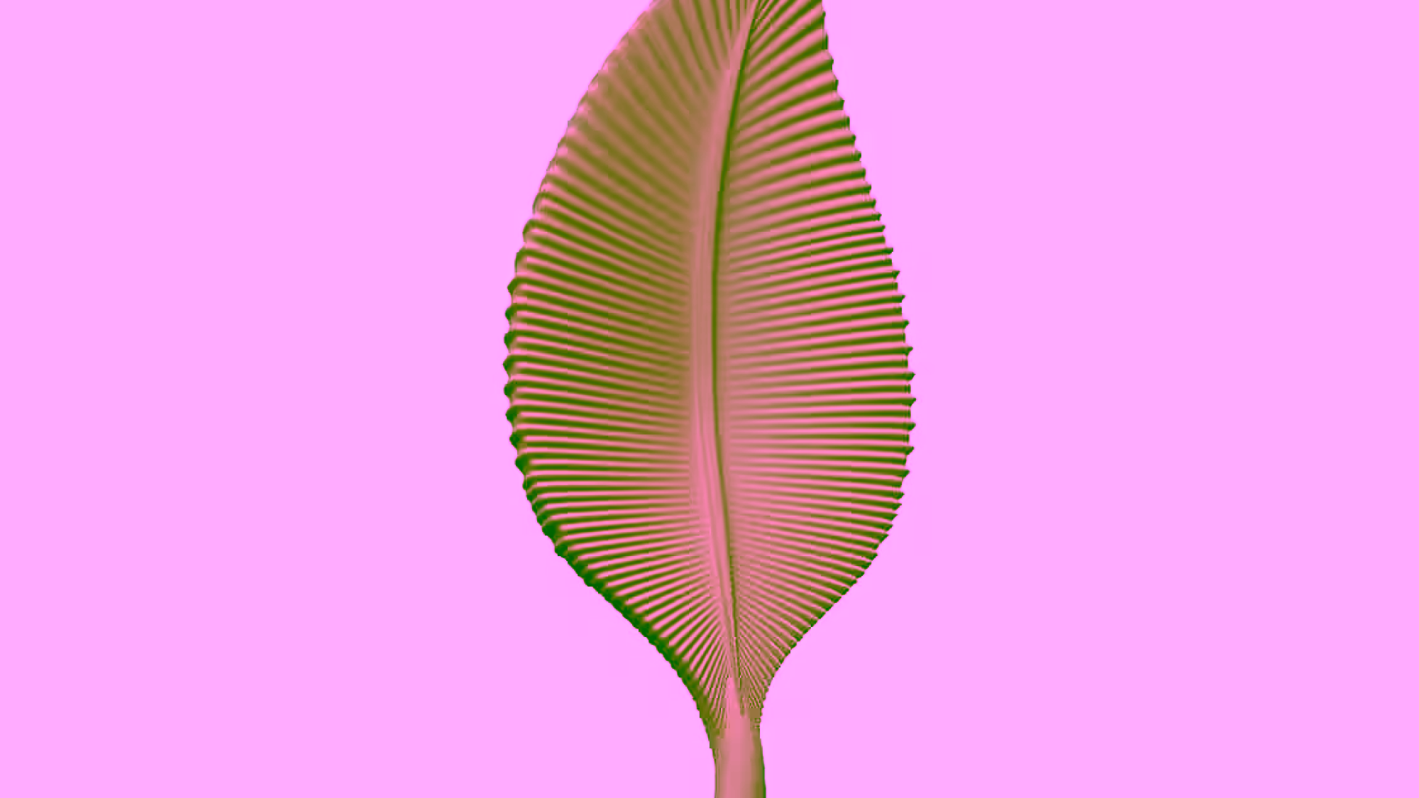 Single Leaf 3D Design STL file Free Download A000659