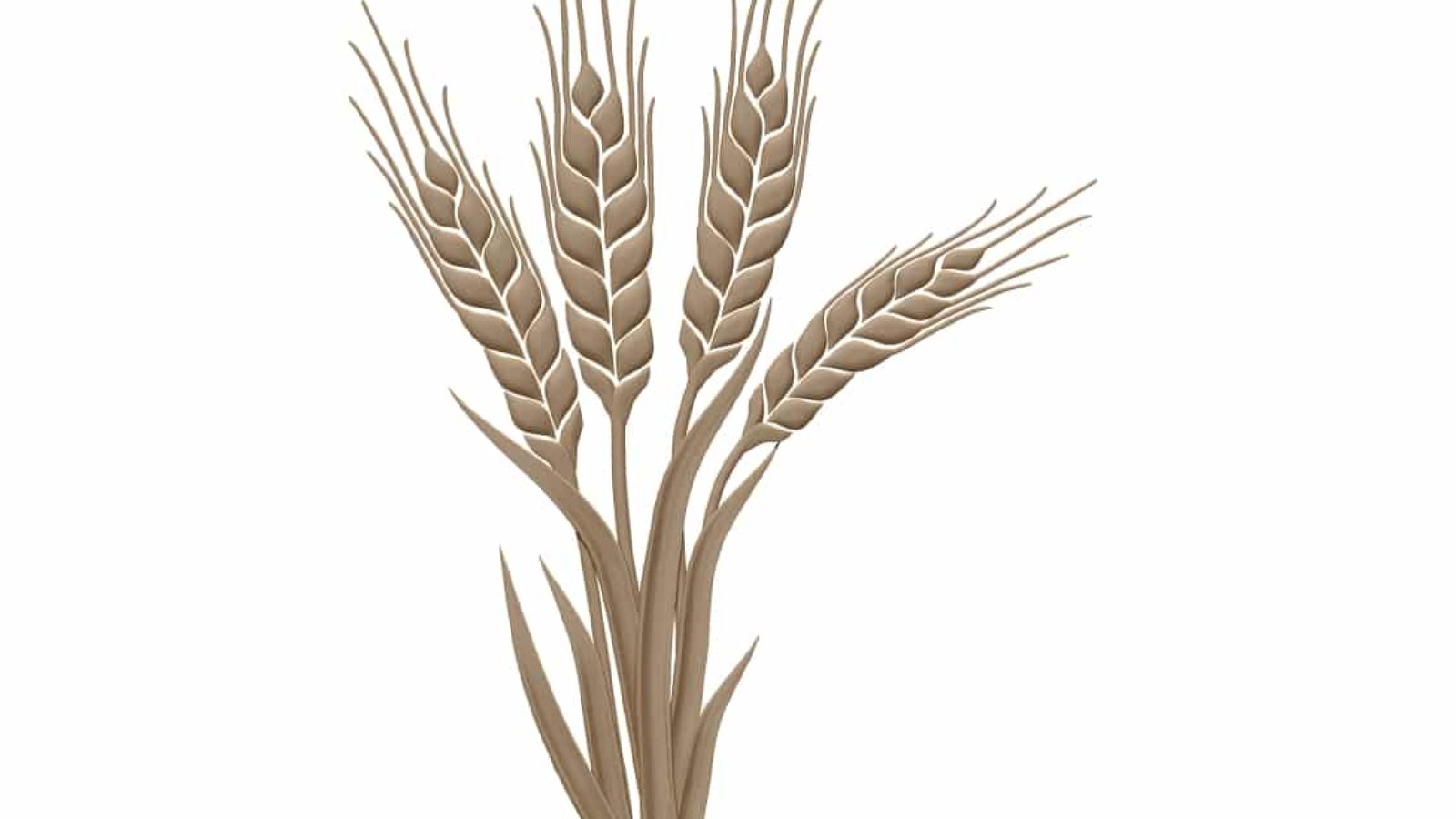 Wheat Plant STL file Free Download A000662