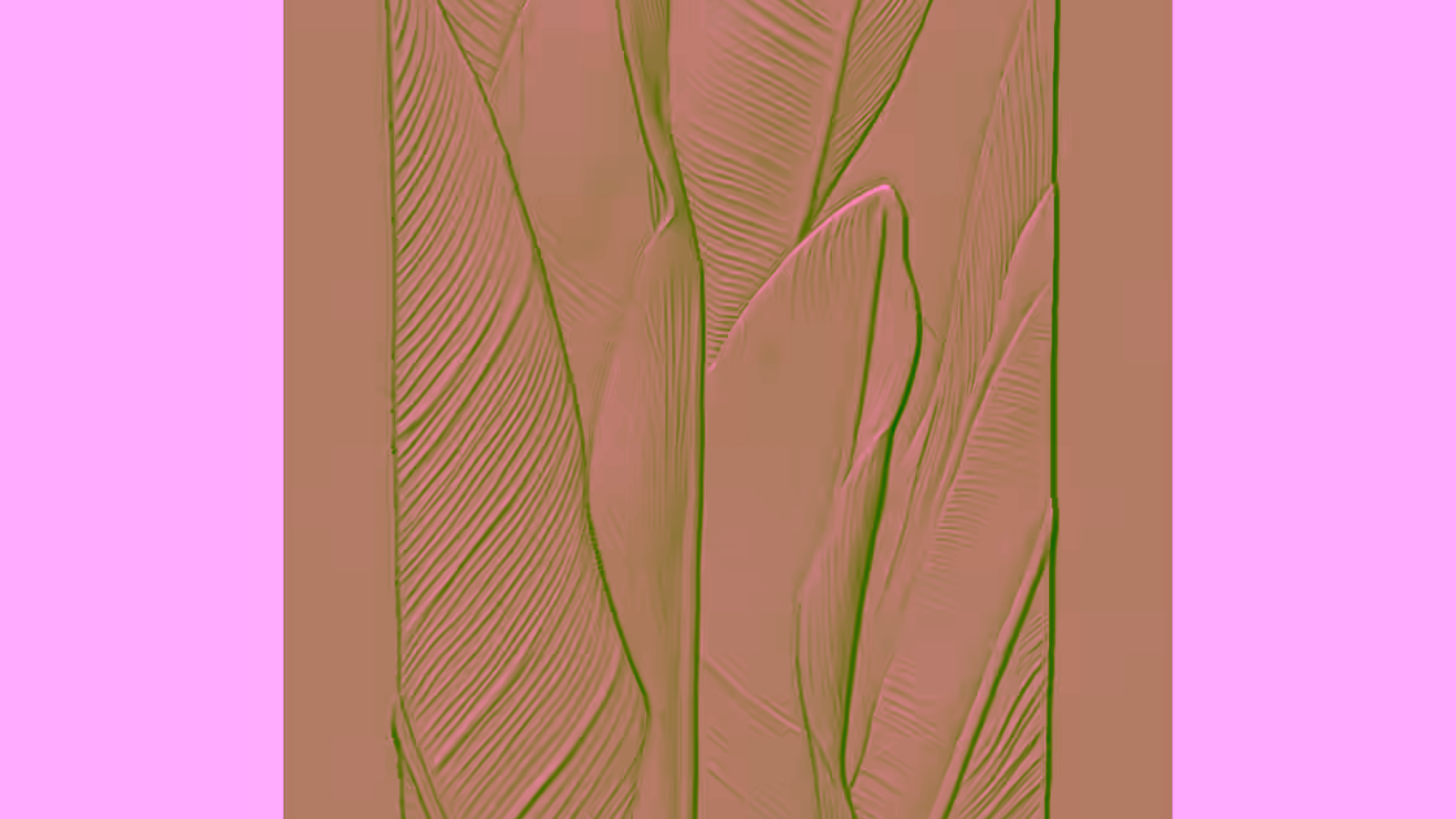 A001040