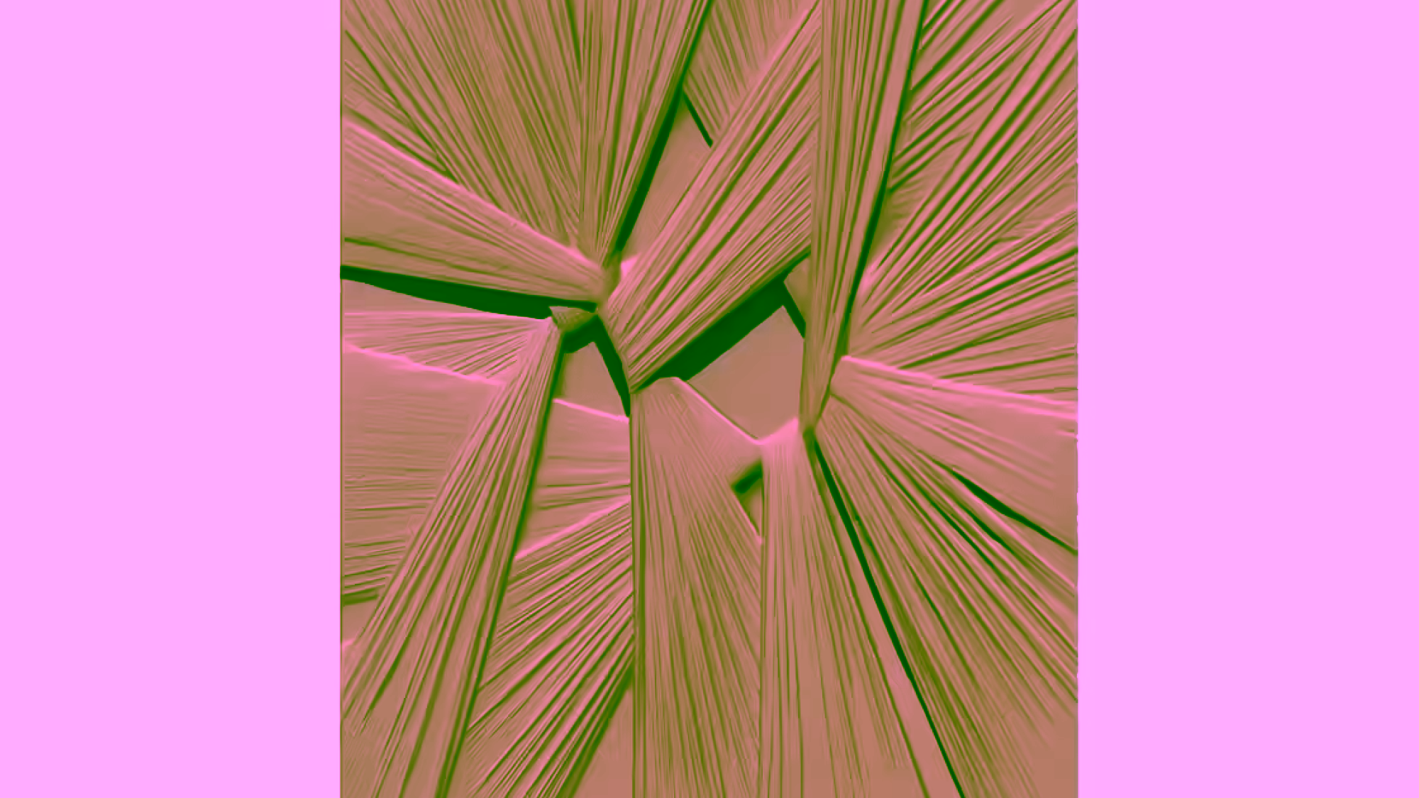A001078