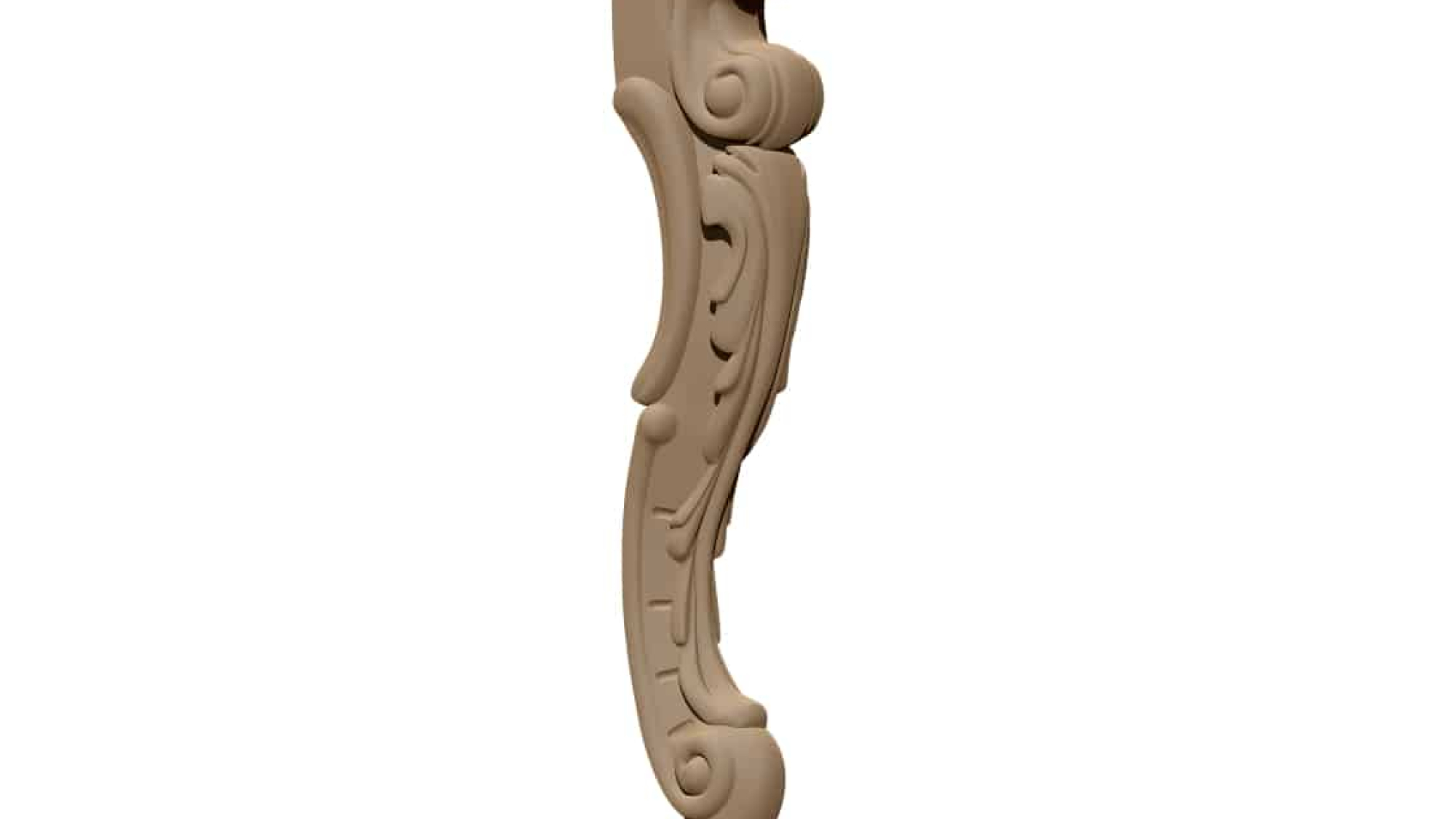ZBrush Document