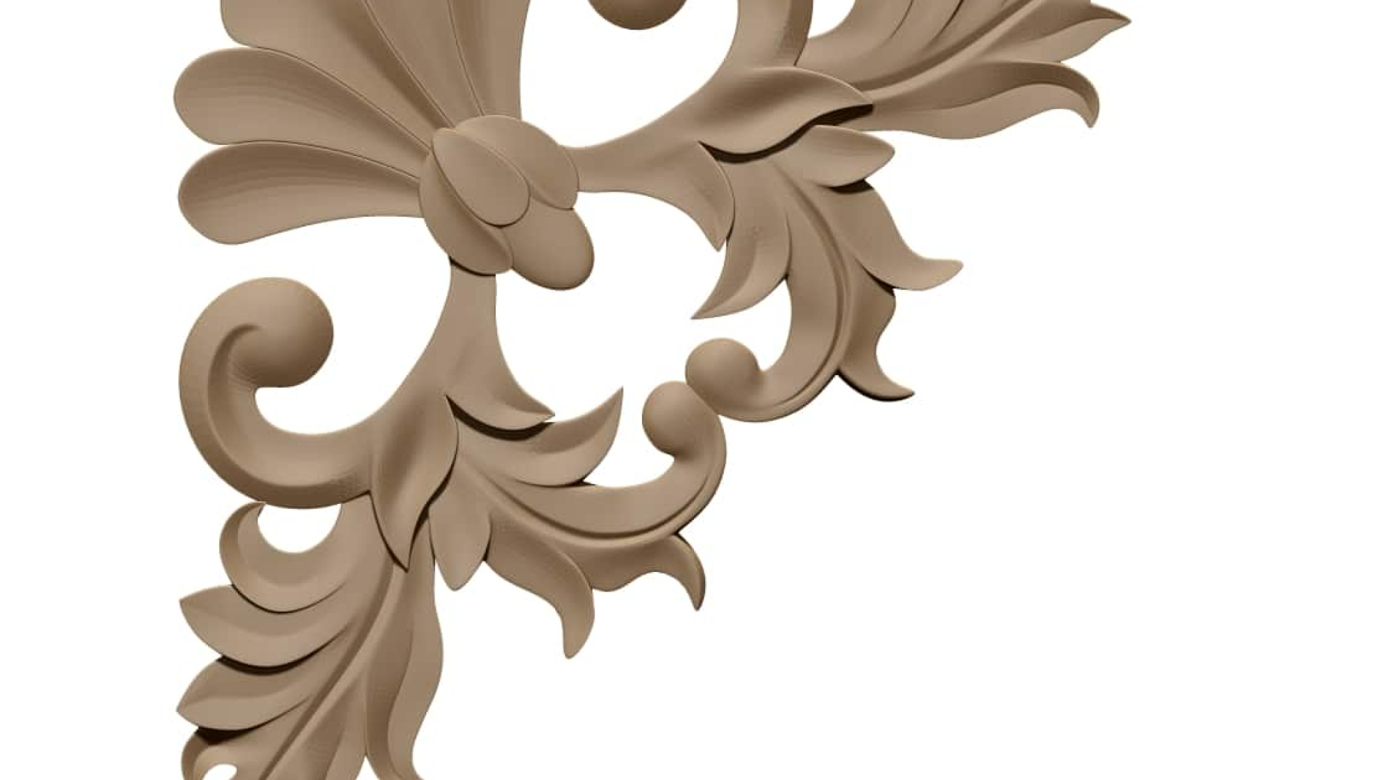 ZBrush Document