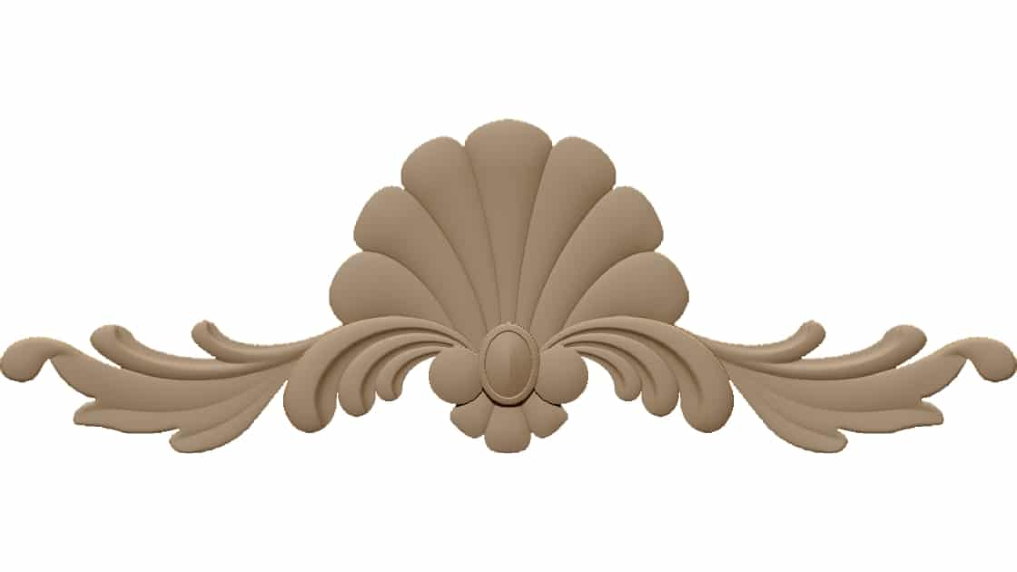 Shell Flourish