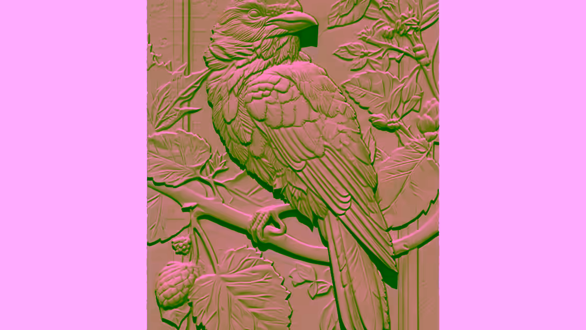Bird