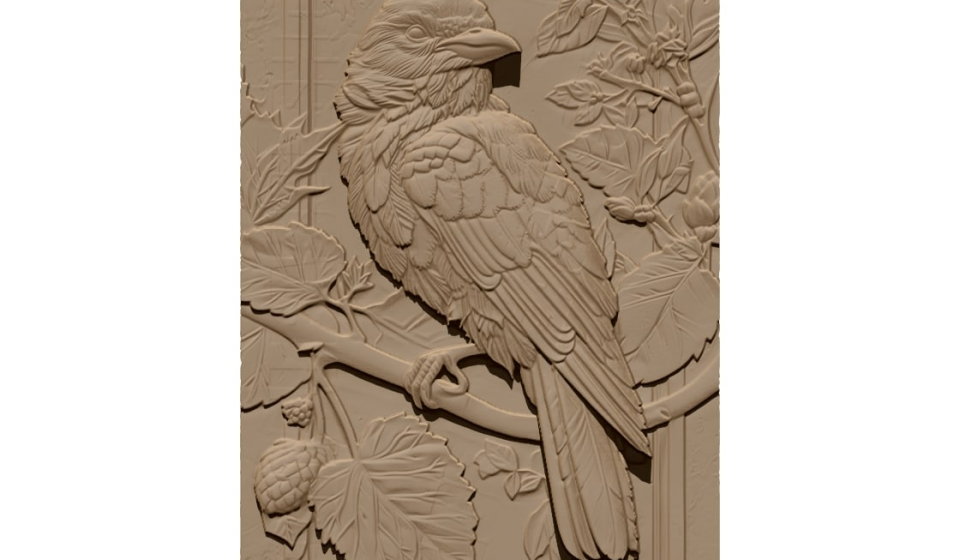 Bird