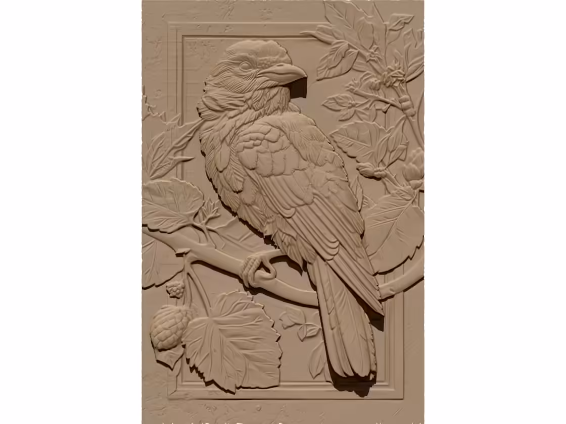 Bird