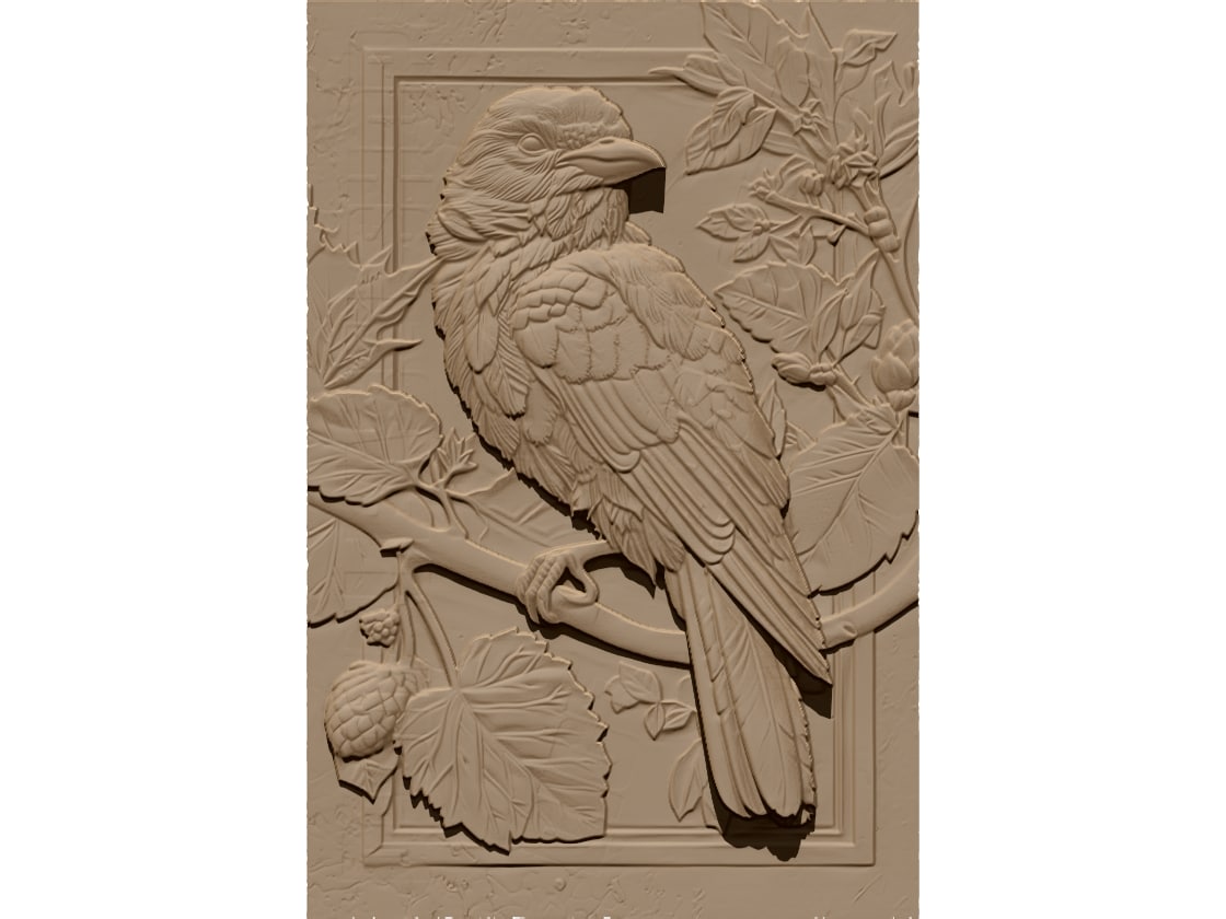 Bird