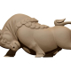 Bull