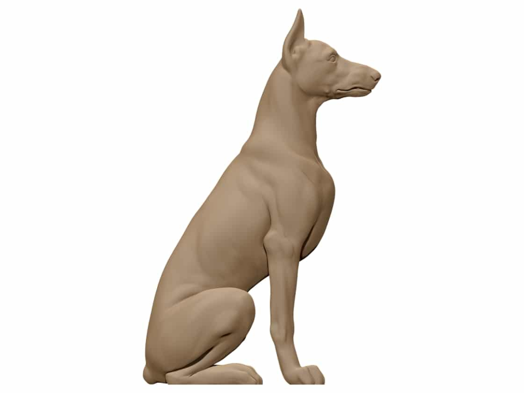 Dog 3D Model