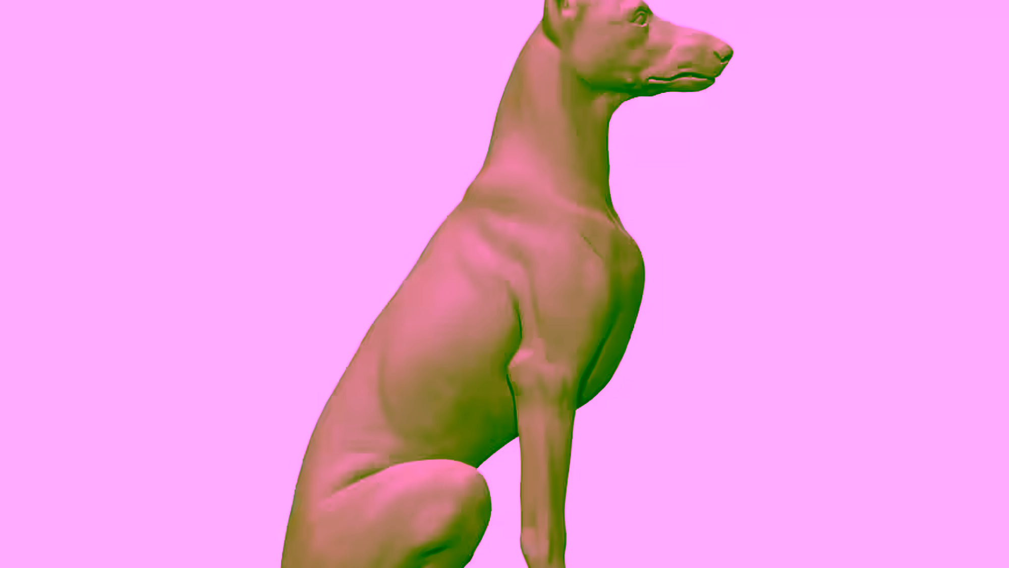 Dog 3D Model