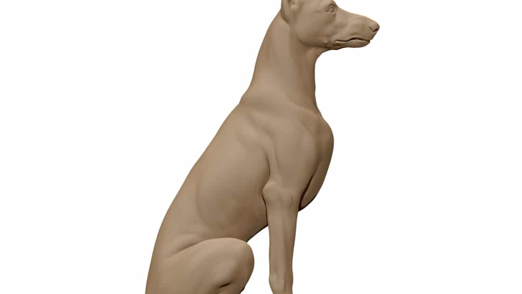 Dog 3D Model