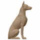Dog 3D Model
