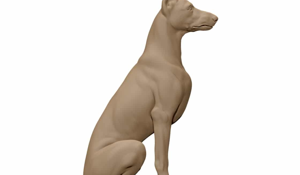 Dog 3D Model