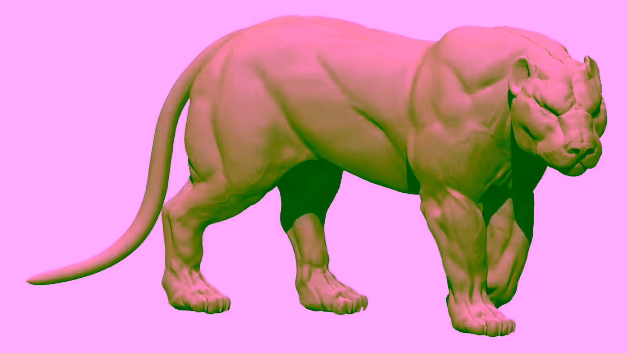 Puma
