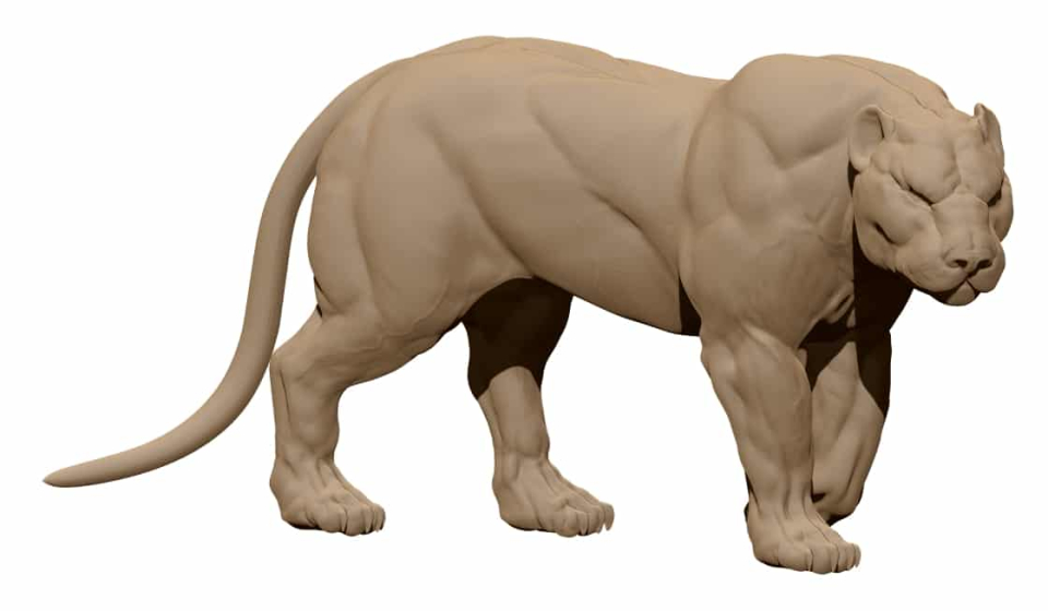 Puma