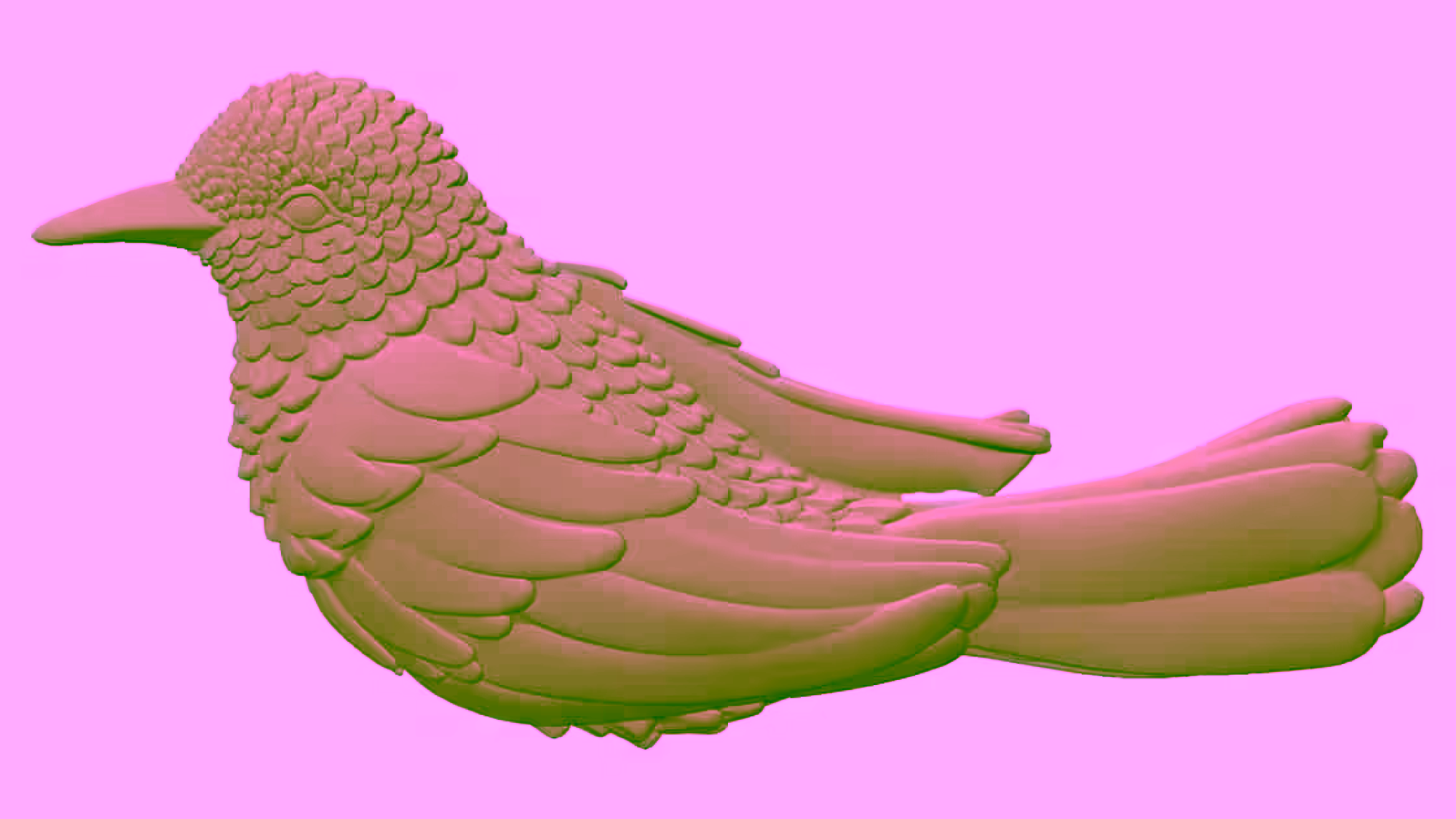 Bird