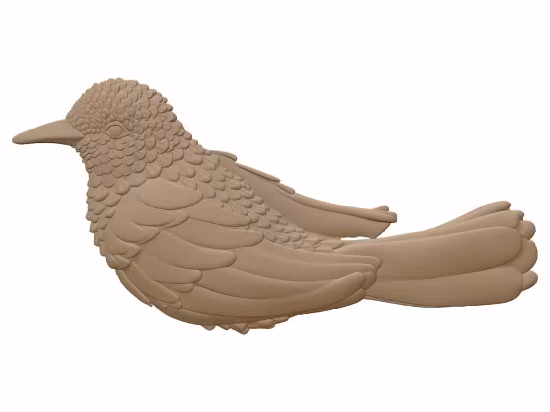Bird