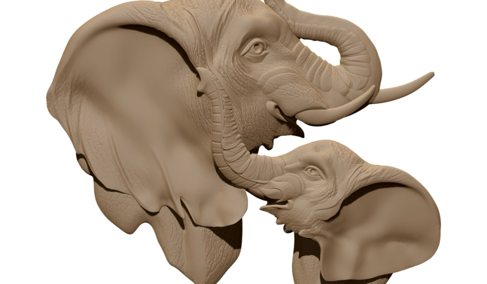 Elephant Art