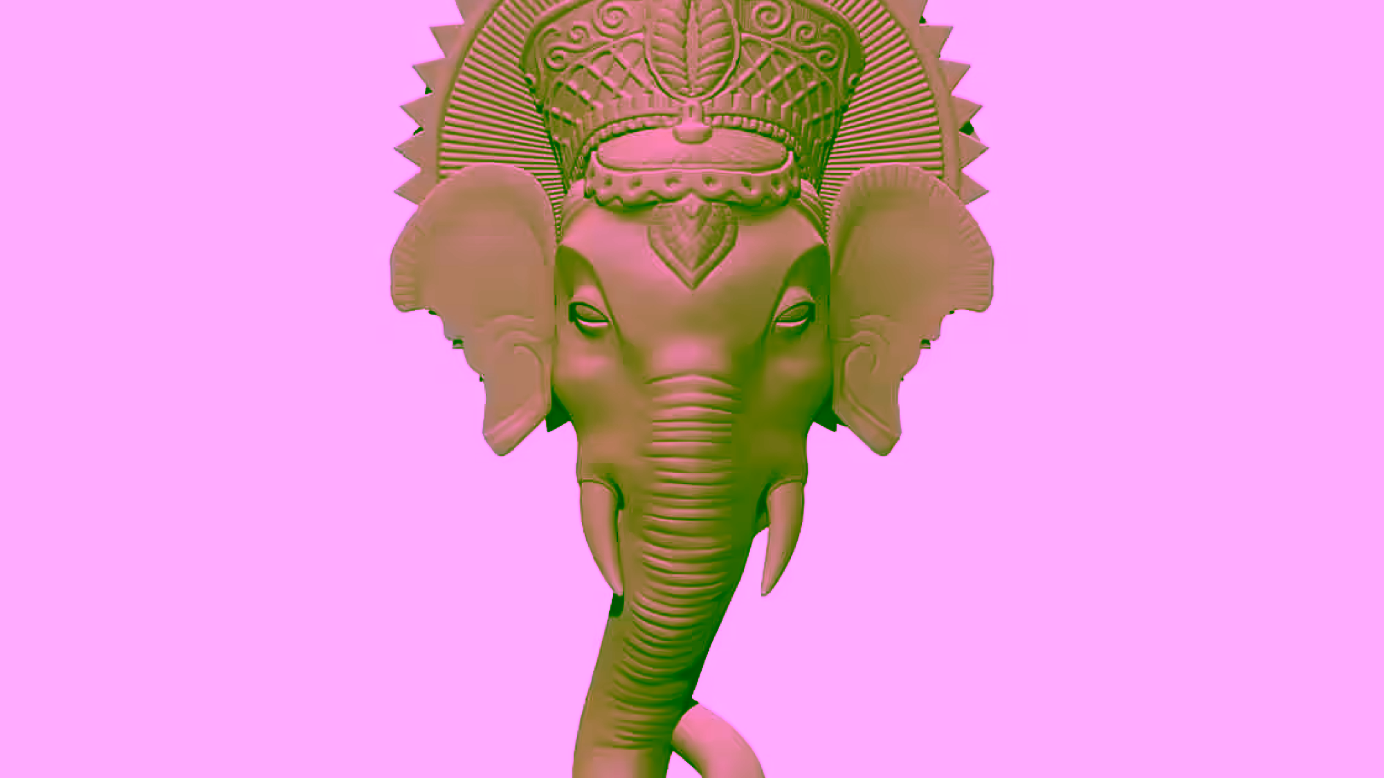 Elephant head