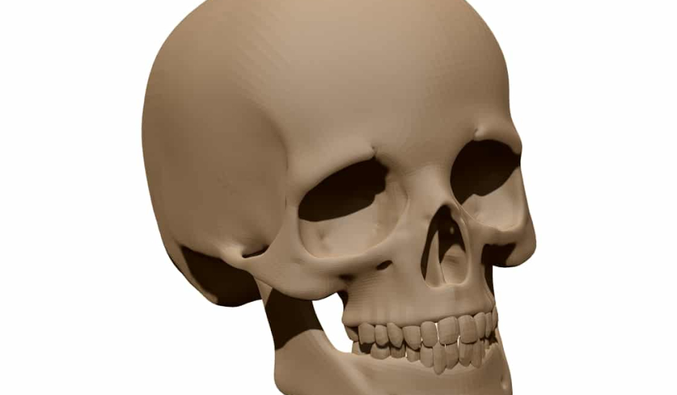 Human skull3D Model STL file free download A0014228
