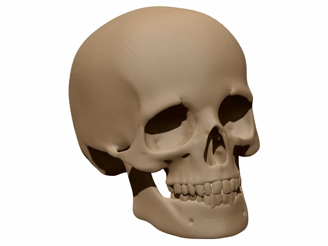 Human skull3D Model STL file free download A0014228