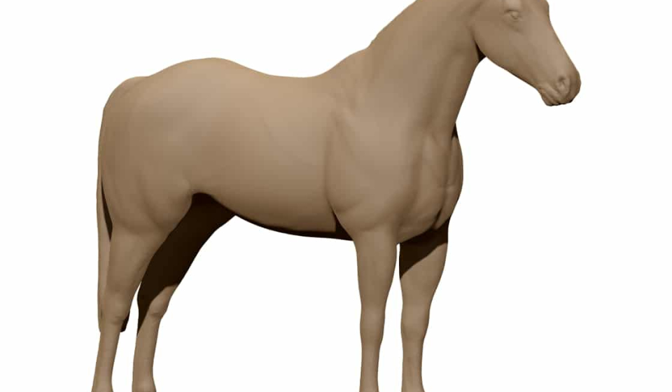 horse