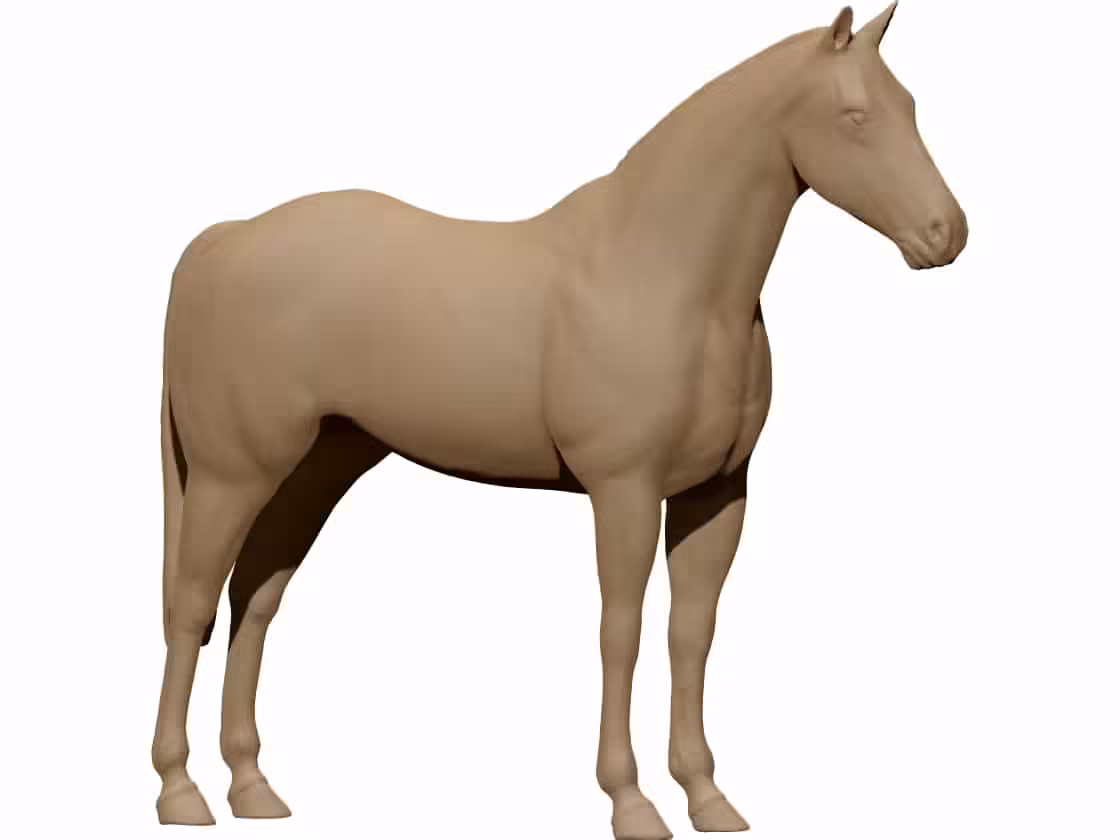 horse