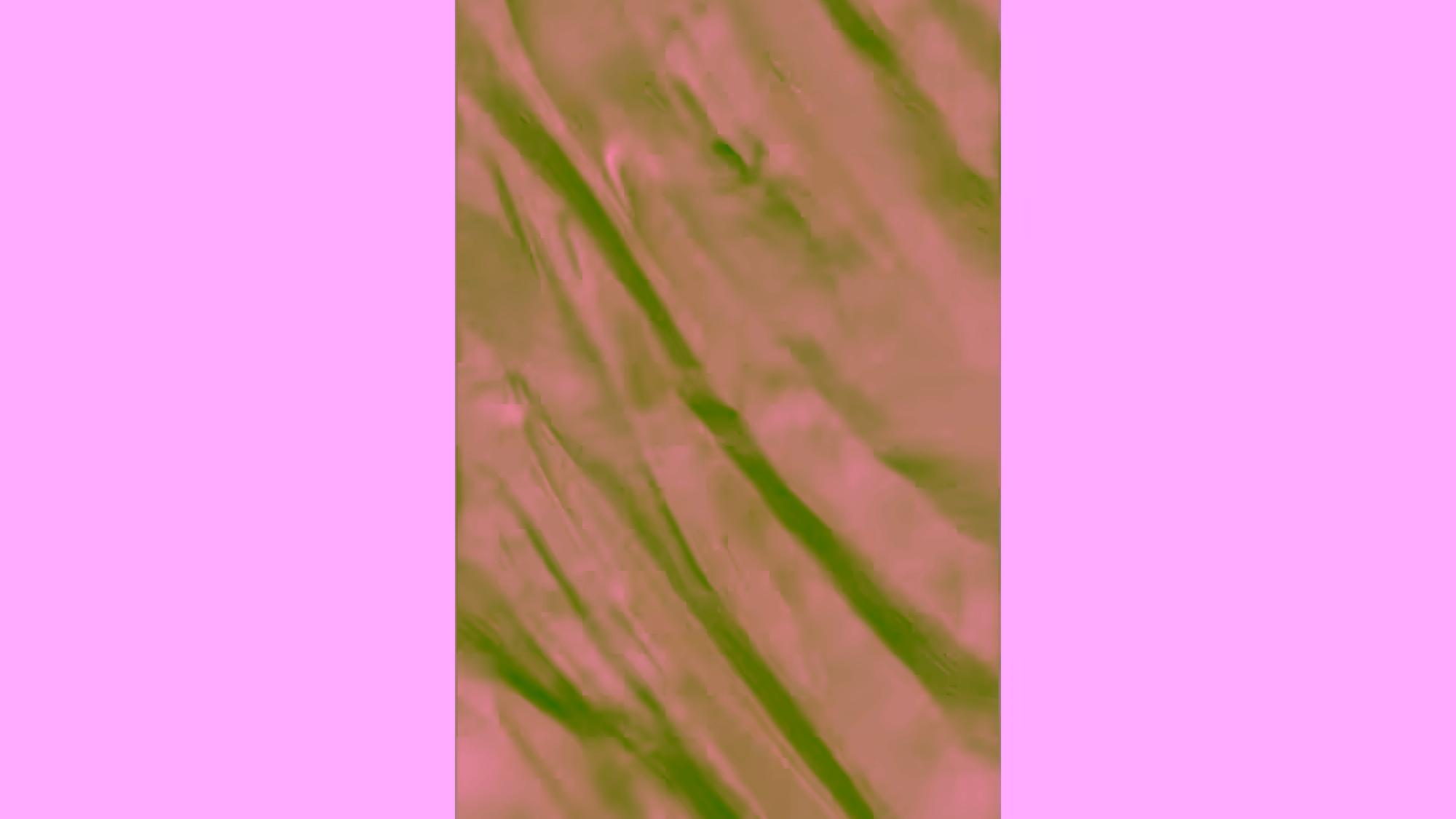 A001507