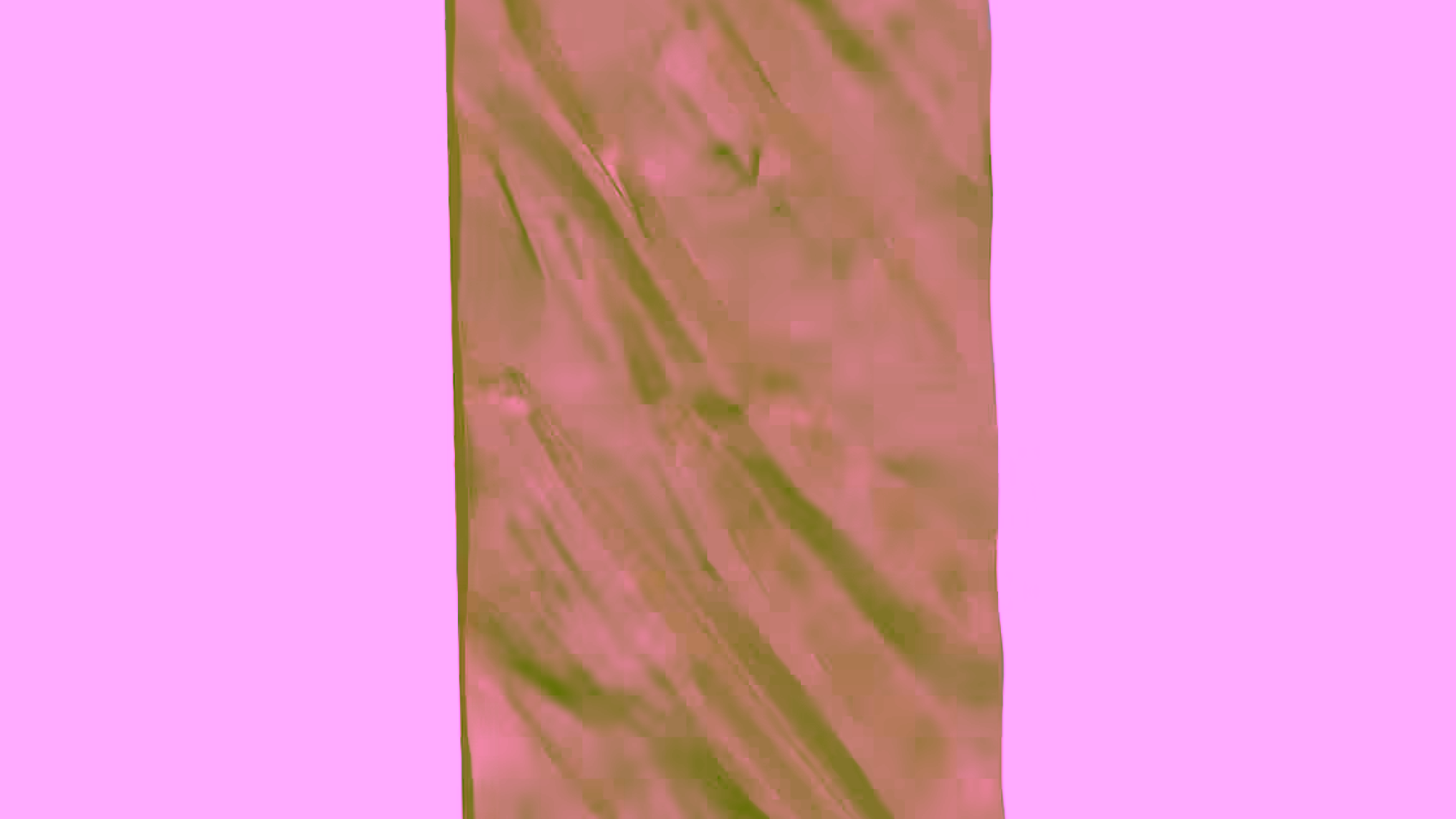 B001787