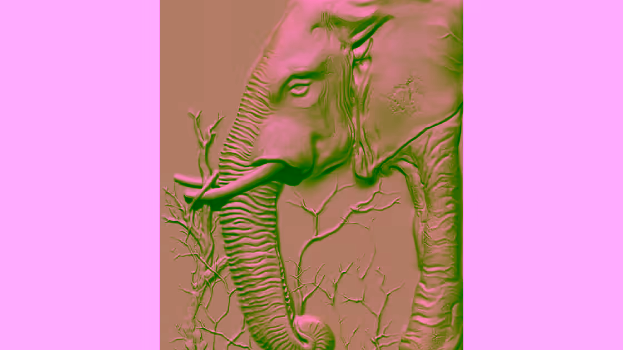 B001789