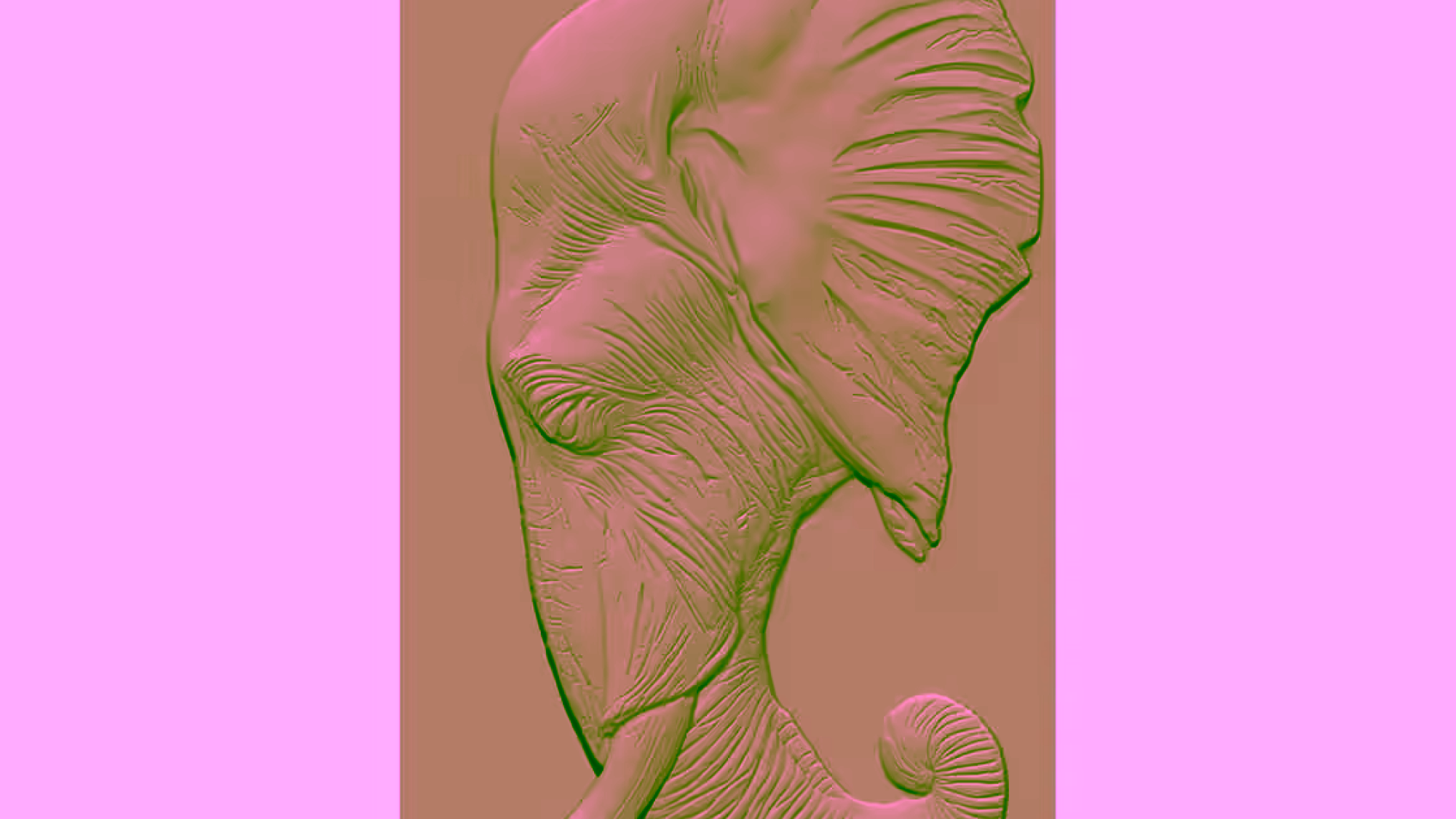 B001926