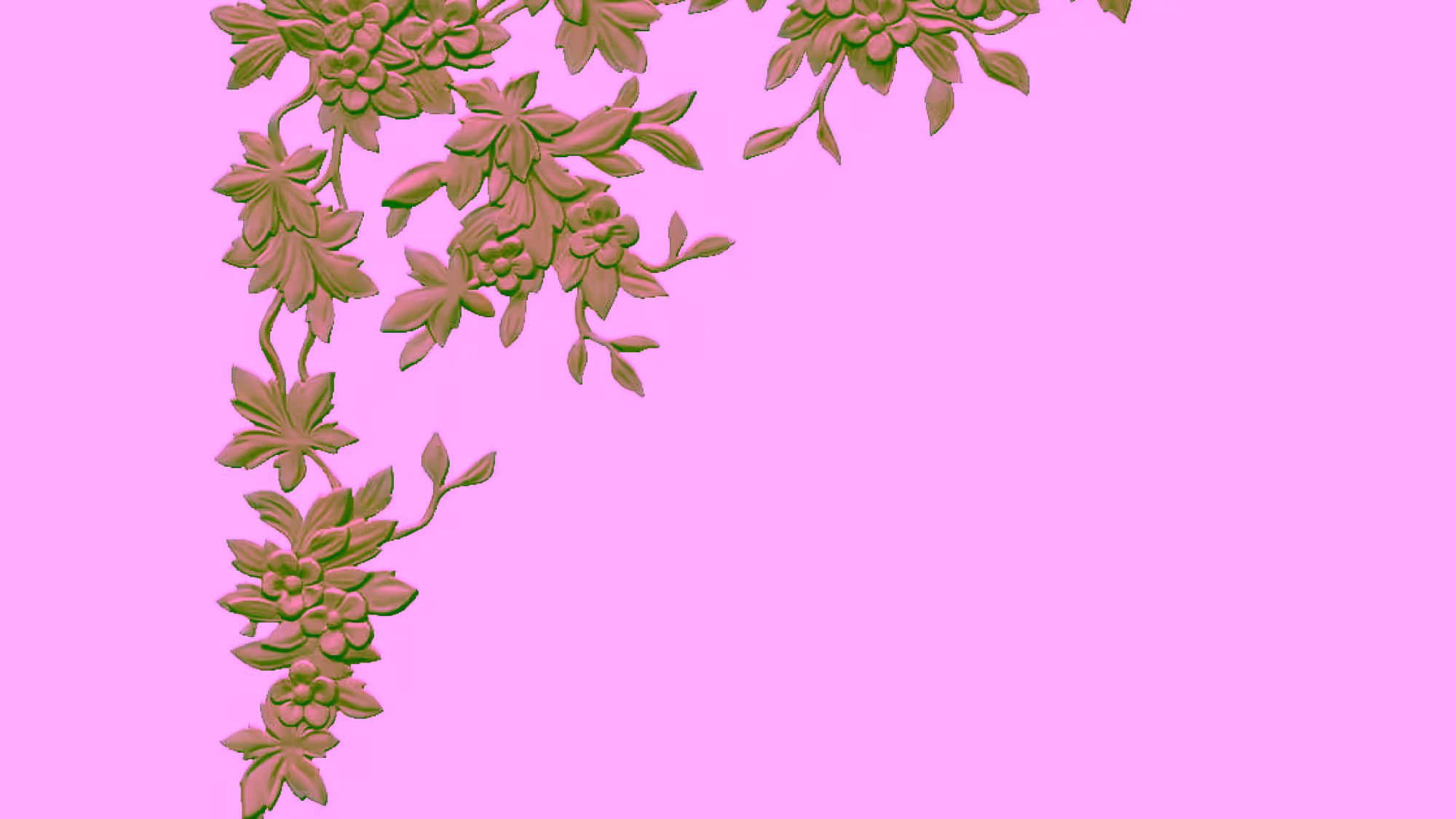 B002020